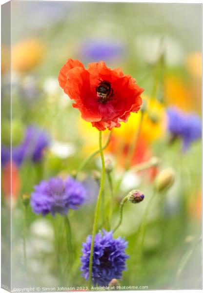 Poppy flower with bee Canvas Print by Simon Johnson