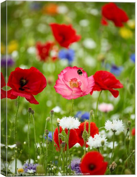 wild flower meadows with poppies and bee Canvas Print by Simon Johnson