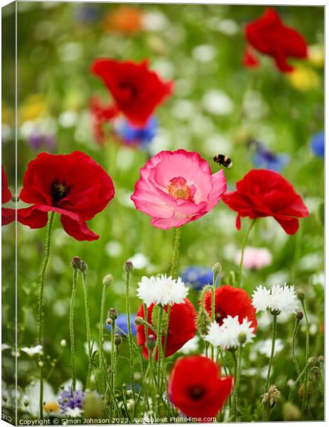 wild flowers and Poppies Canvas Print by Simon Johnson