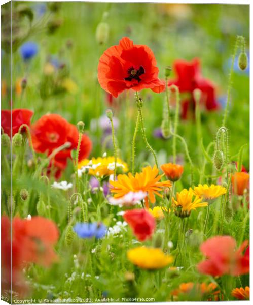 Poppies and wild flowers Canvas Print by Simon Johnson