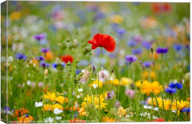 Poppy and wildflowers Canvas Print by Simon Johnson