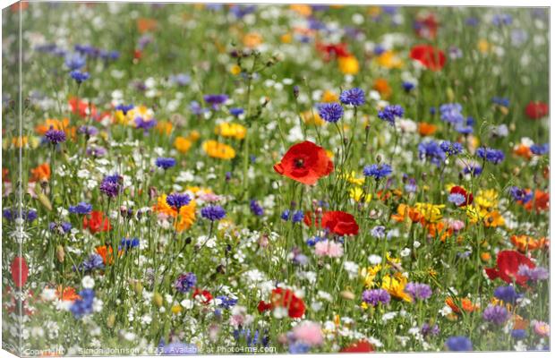 Wild flowers Canvas Print by Simon Johnson