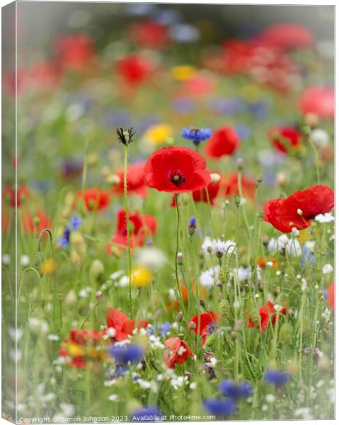 Vibrant Meadow's Floral Ensemble Canvas Print by Simon Johnson