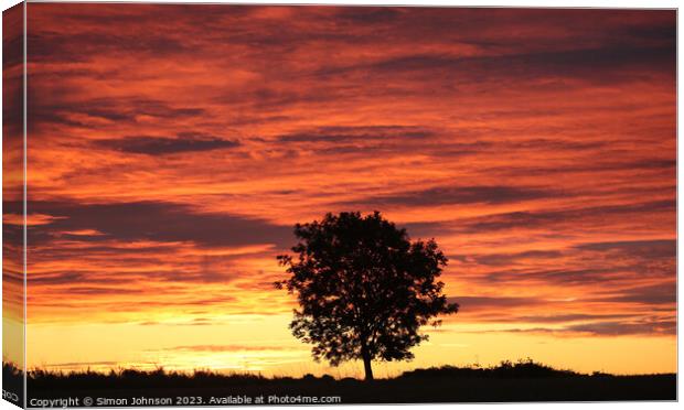 tree silhouette at sunrise Canvas Print by Simon Johnson