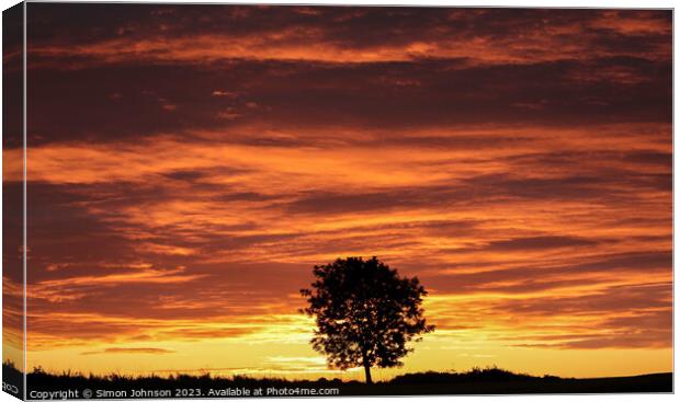 Tree Silhouette at Sunrise Canvas Print by Simon Johnson