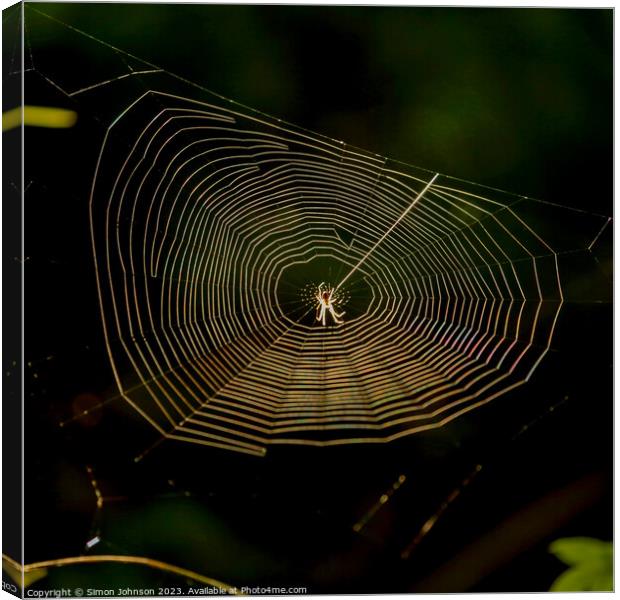 cobweb with spider Canvas Print by Simon Johnson