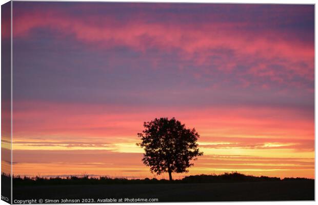 sunrise and tree silhouette Canvas Print by Simon Johnson