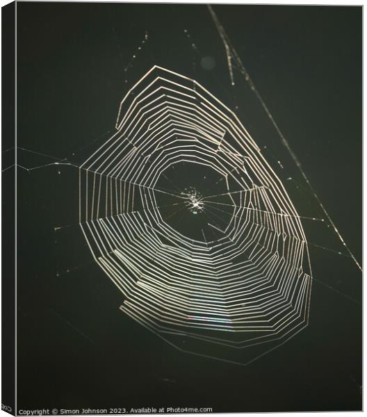 sunlit cobweb Canvas Print by Simon Johnson