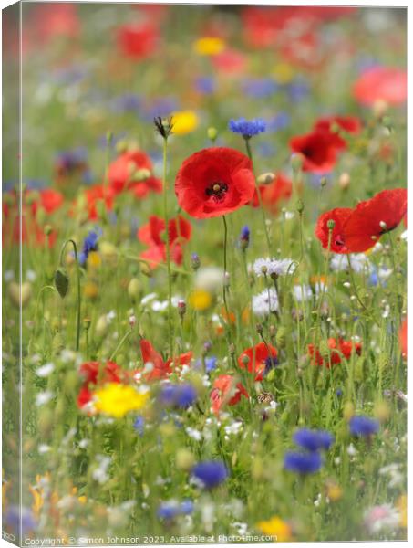  poppy and meadow flowers Canvas Print by Simon Johnson