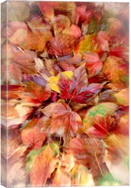 autumn leaves Canvas Print by Simon Johnson