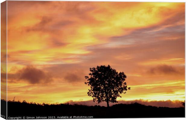 Tree Silhouette at sunrise Canvas Print by Simon Johnson