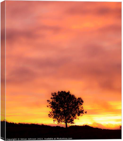 Tree Silhouette at sunrise with soft focus Canvas Print by Simon Johnson