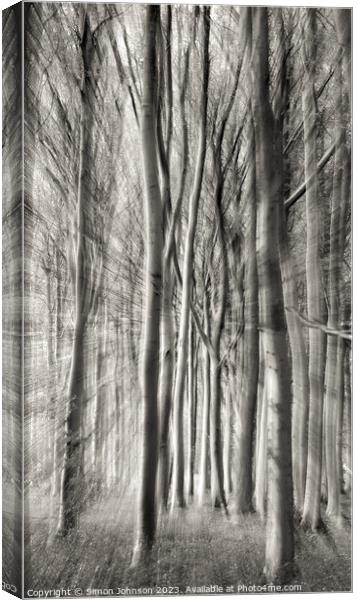  woodland monochrome  Canvas Print by Simon Johnson