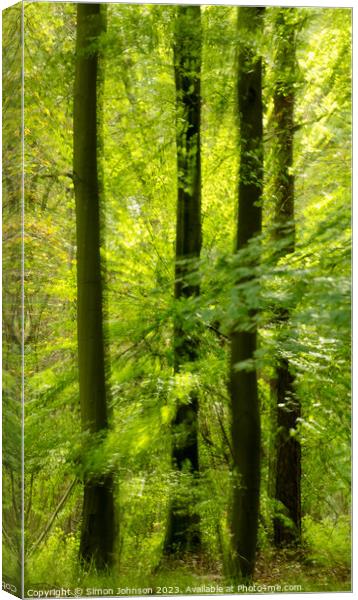 sunlit woodland and leaves Canvas Print by Simon Johnson