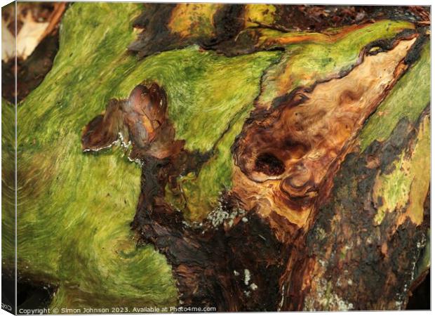 Bark and lichen Canvas Print by Simon Johnson