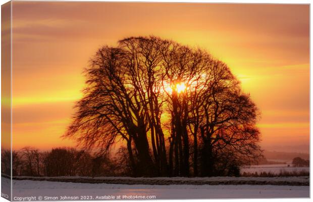 tree silhouette  sunrise Canvas Print by Simon Johnson