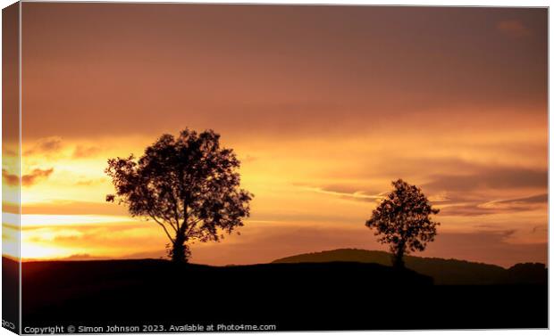  tree silhouettes  at sunset Canvas Print by Simon Johnson