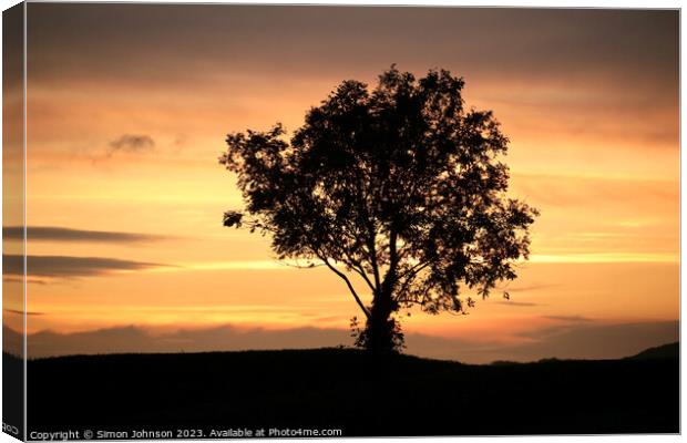 Tree silhouette  Canvas Print by Simon Johnson