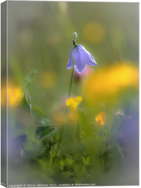 Plant flower Canvas Print by Simon Johnson