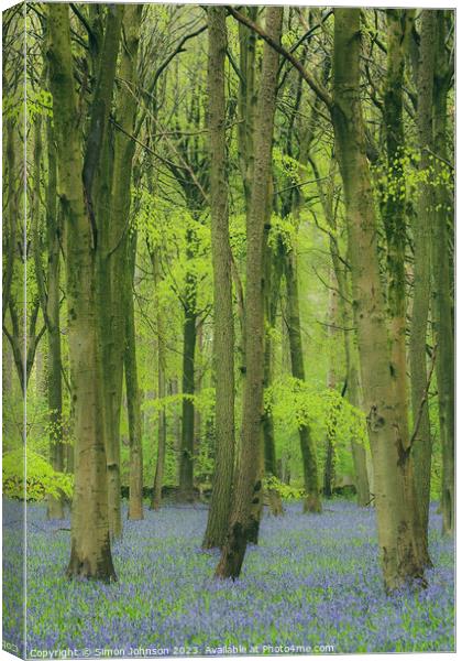 Bluebell Woodland  Canvas Print by Simon Johnson