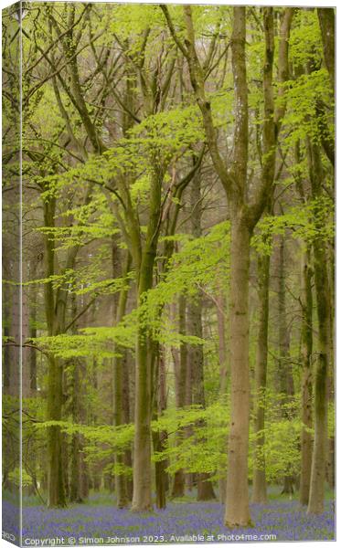 Plant tree Canvas Print by Simon Johnson