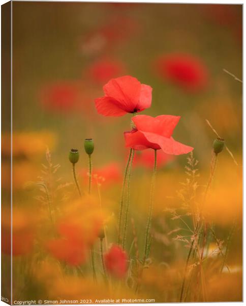 Two Poppies (soft focus) Canvas Print by Simon Johnson