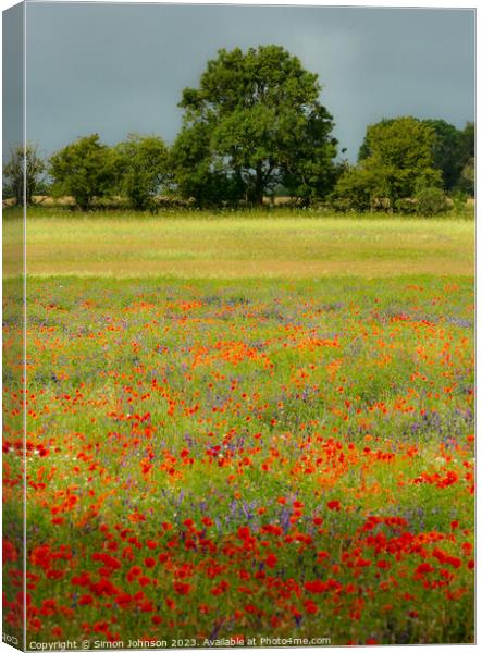 Impressionist Poppies Canvas Print by Simon Johnson