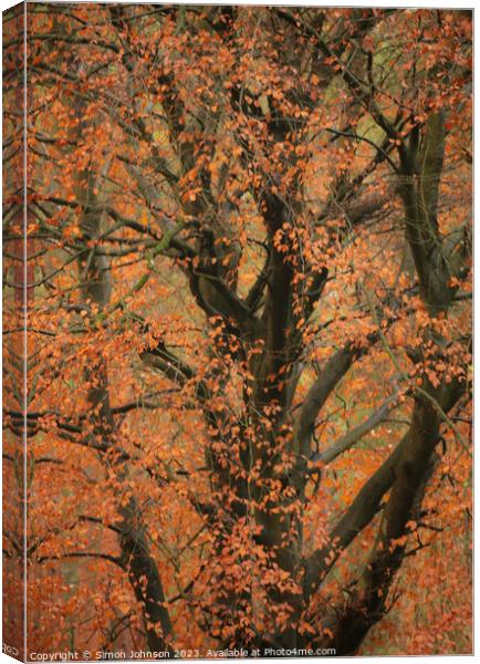 Autumn leaves  Canvas Print by Simon Johnson