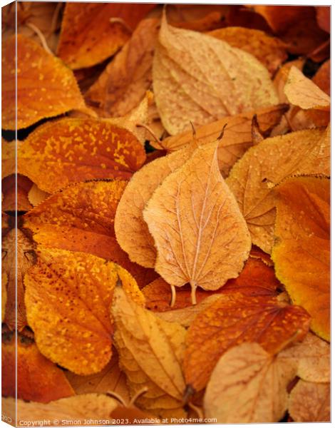 Frosted leaved  Canvas Print by Simon Johnson