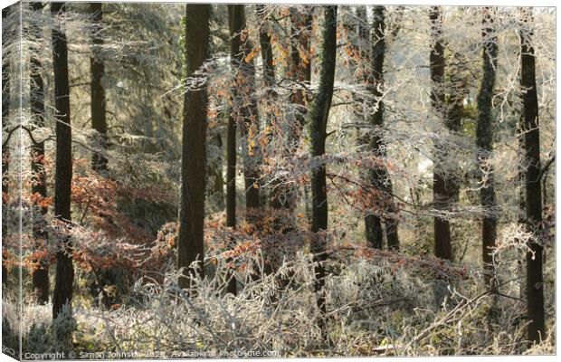 Woodland Hoar frost Canvas Print by Simon Johnson
