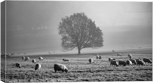 Tree, mist, sheep  Canvas Print by Simon Johnson