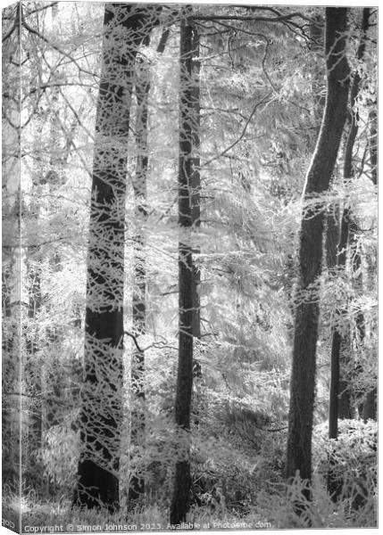 Woodland hoar frost soft focus Canvas Print by Simon Johnson
