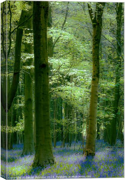 Bluebell woodland  Canvas Print by Simon Johnson