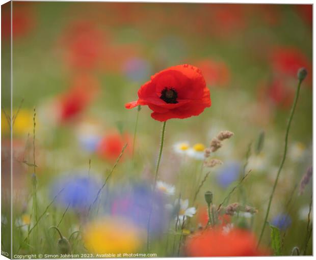 A close up of a poppy flower  Canvas Print by Simon Johnson