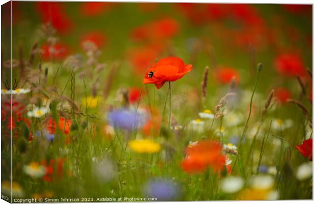 Poppy and meadow flowers  Canvas Print by Simon Johnson