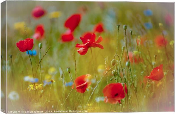  Poppy flowers Canvas Print by Simon Johnson