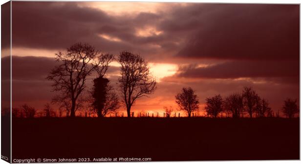 Tree silhouette at sunrise Canvas Print by Simon Johnson