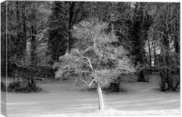 A person standing next to a tree Canvas Print by Simon Johnson