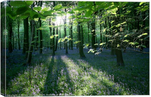 sunlit bluebell woodland  Canvas Print by Simon Johnson