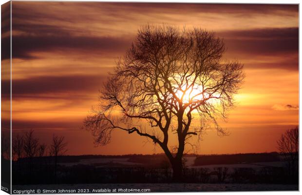 tree silhouette at sunset Canvas Print by Simon Johnson