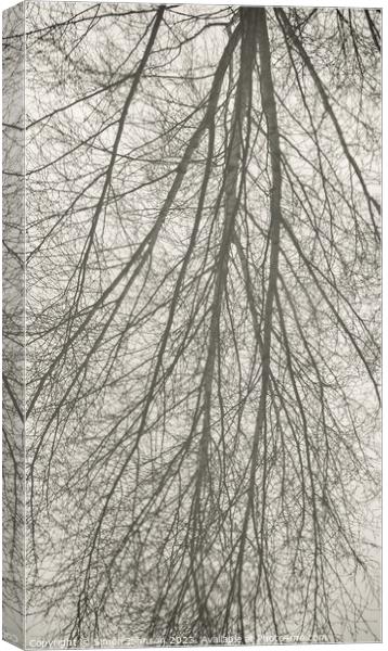 tree reflection Canvas Print by Simon Johnson