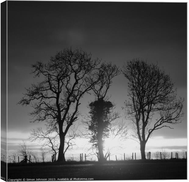 Tree silhouettes monochrome  Canvas Print by Simon Johnson