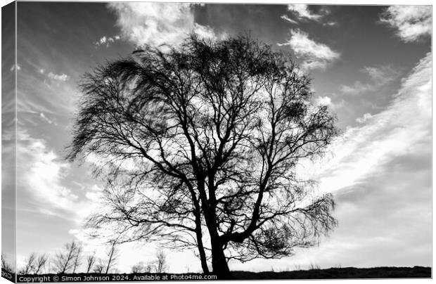  tree silhouette  Canvas Print by Simon Johnson