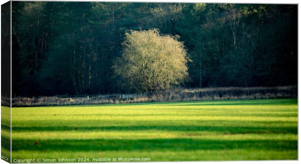 Outdoor field Canvas Print by Simon Johnson