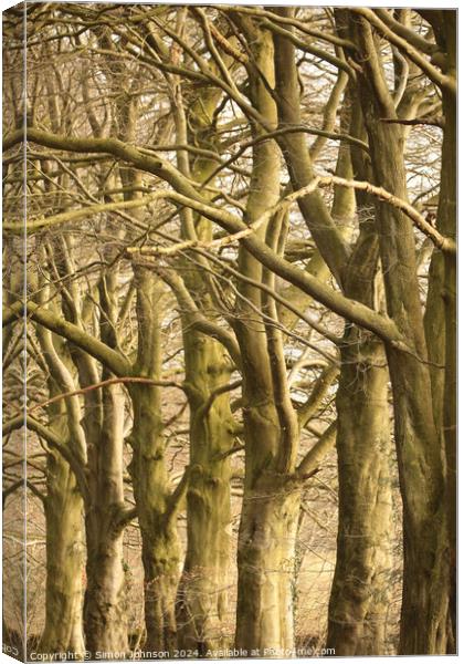  Tree patterns Canvas Print by Simon Johnson