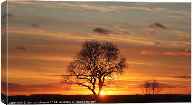 Tree silhouette sunset  Canvas Print by Simon Johnson