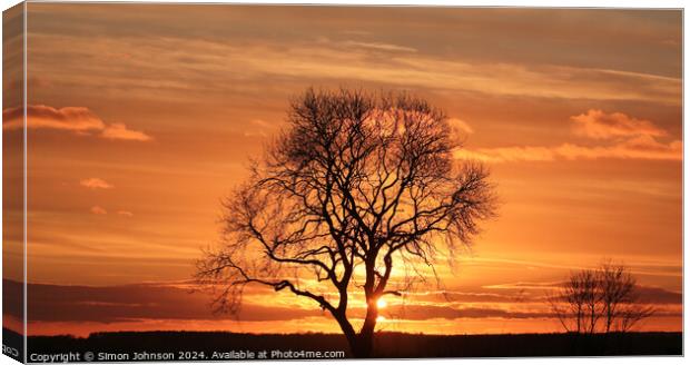 Tree silhouette Sunset  Canvas Print by Simon Johnson
