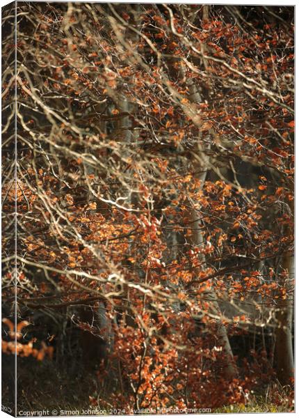 sunlit leaves and branches Canvas Print by Simon Johnson
