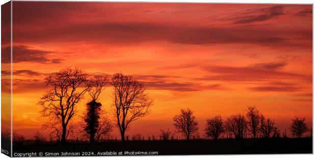 Tree silhouette at sunrise  Canvas Print by Simon Johnson