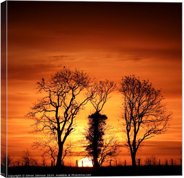 Tree silhouette sunrise  Canvas Print by Simon Johnson